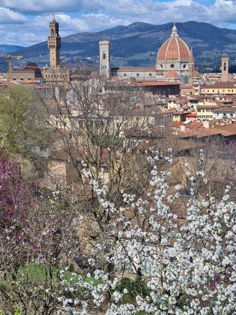 Peaceful view of Florence Duomo and historic rooftops seen through spring blossoms