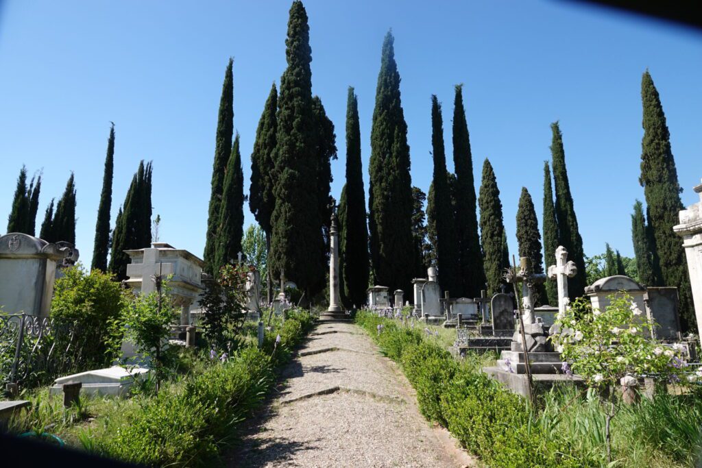 Cypress-lined pathway with historic graves in the Cimitero degli Inglesi, Florence, under clear blue sky