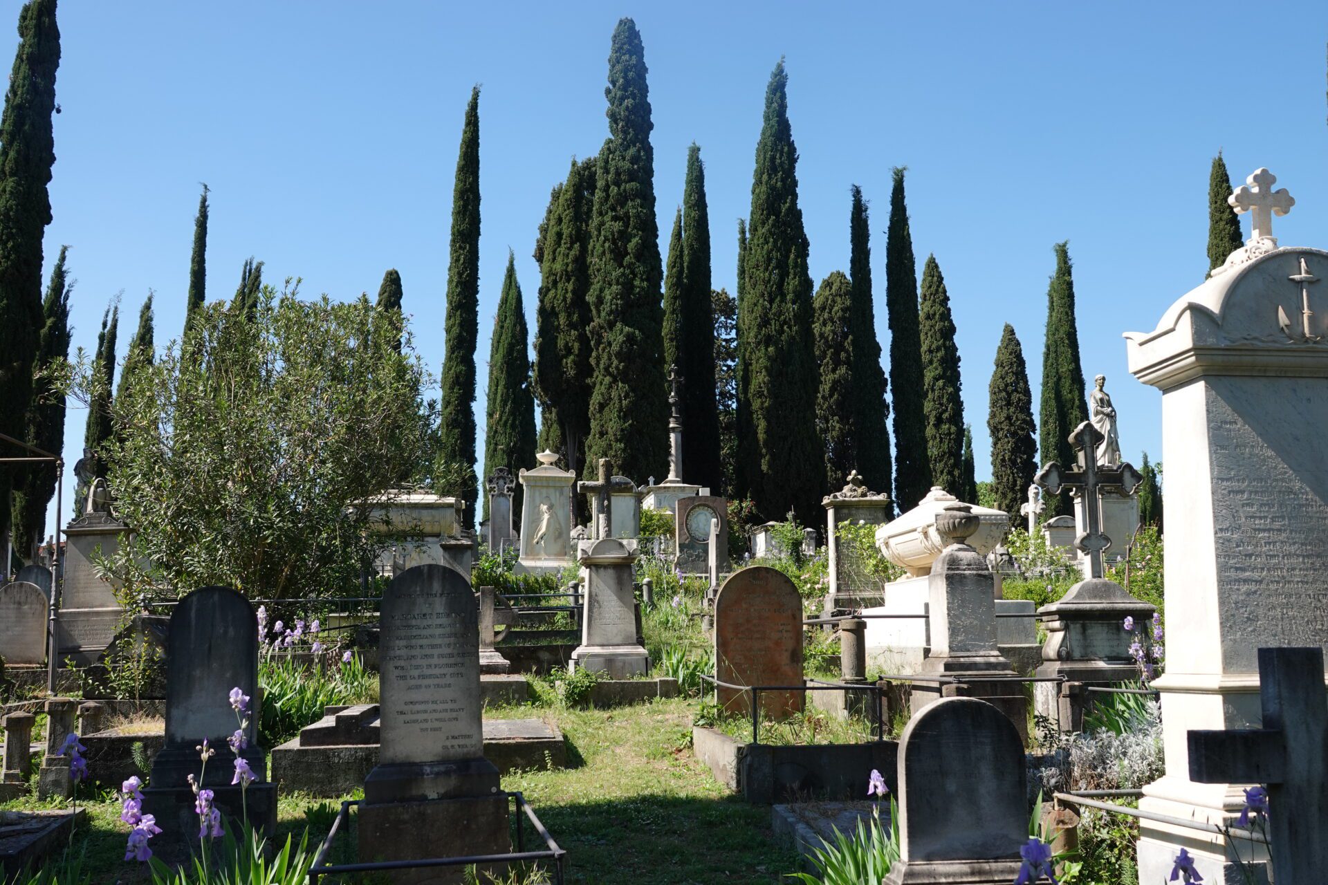 Historic graves surrounded by cypress trees in the Cimitero degli Inglesi, Florence, on a clear sunny day
