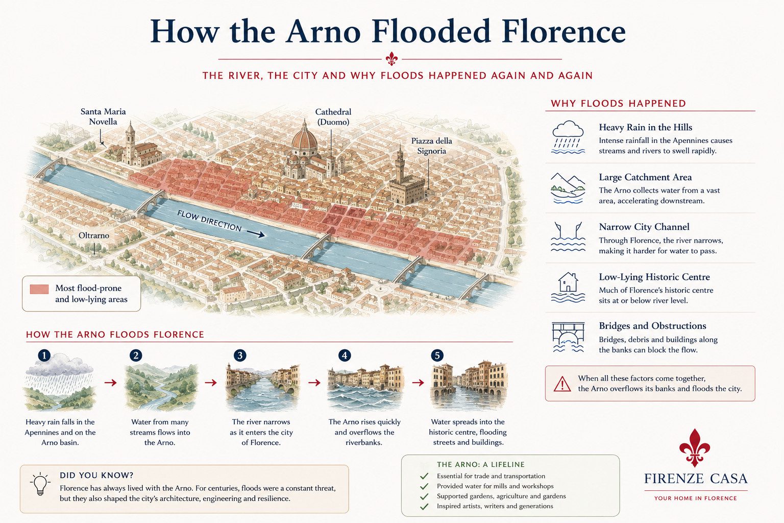 Infographic explaining how the Arno River flooded Florence, showing the city's layout, flood-prone areas, water flow and the main geographical reasons for repeated flooding.